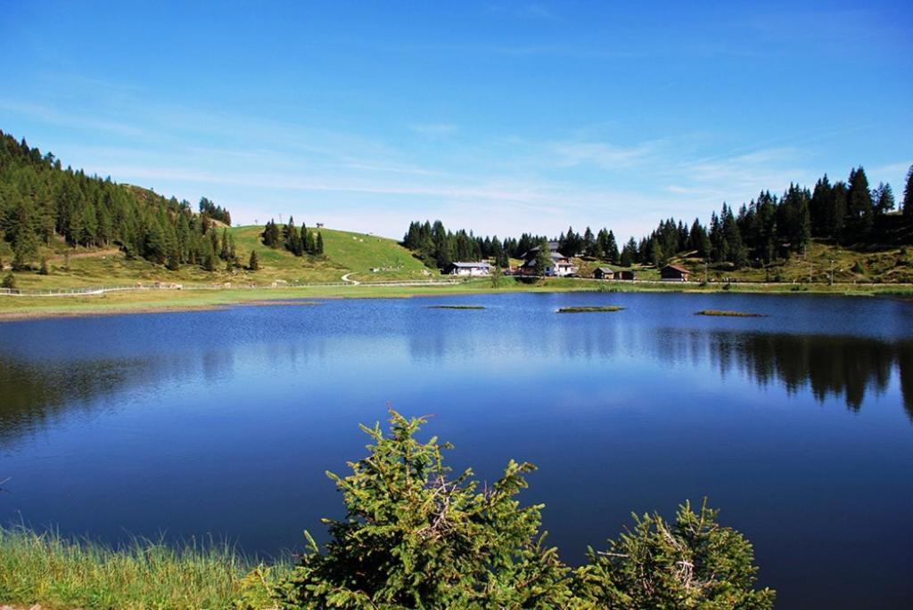 Ferienwohnung Salburg, Sonnleitn هيرماجور المظهر الخارجي الصورة